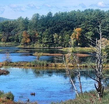 Mansfield Hollow Dam Walk