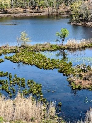 Mansfield Hollow Dam Walk