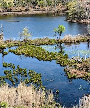 Mansfield Hollow Dam Walk
