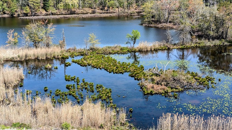 Mansfield Hollow Dam Walk - North Windham, CT