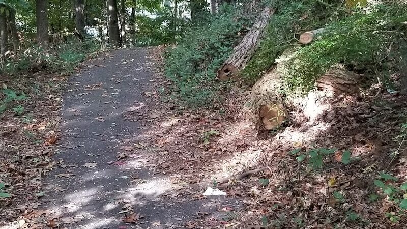 Flax Hill Park - Norwalk, CT