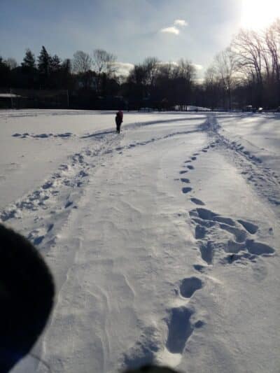 Flax Hill Park - Norwalk, CT