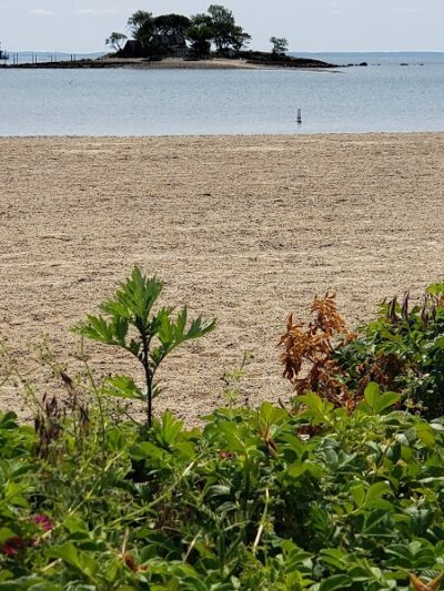 Shady Beach Park - Norwalk, CT