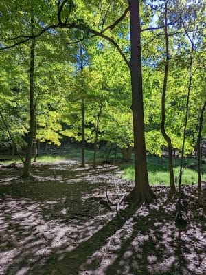 Nyack Beach State Park