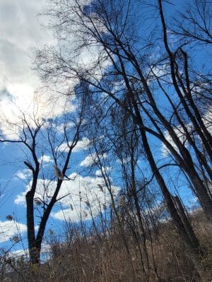 Nyack Beach State Park