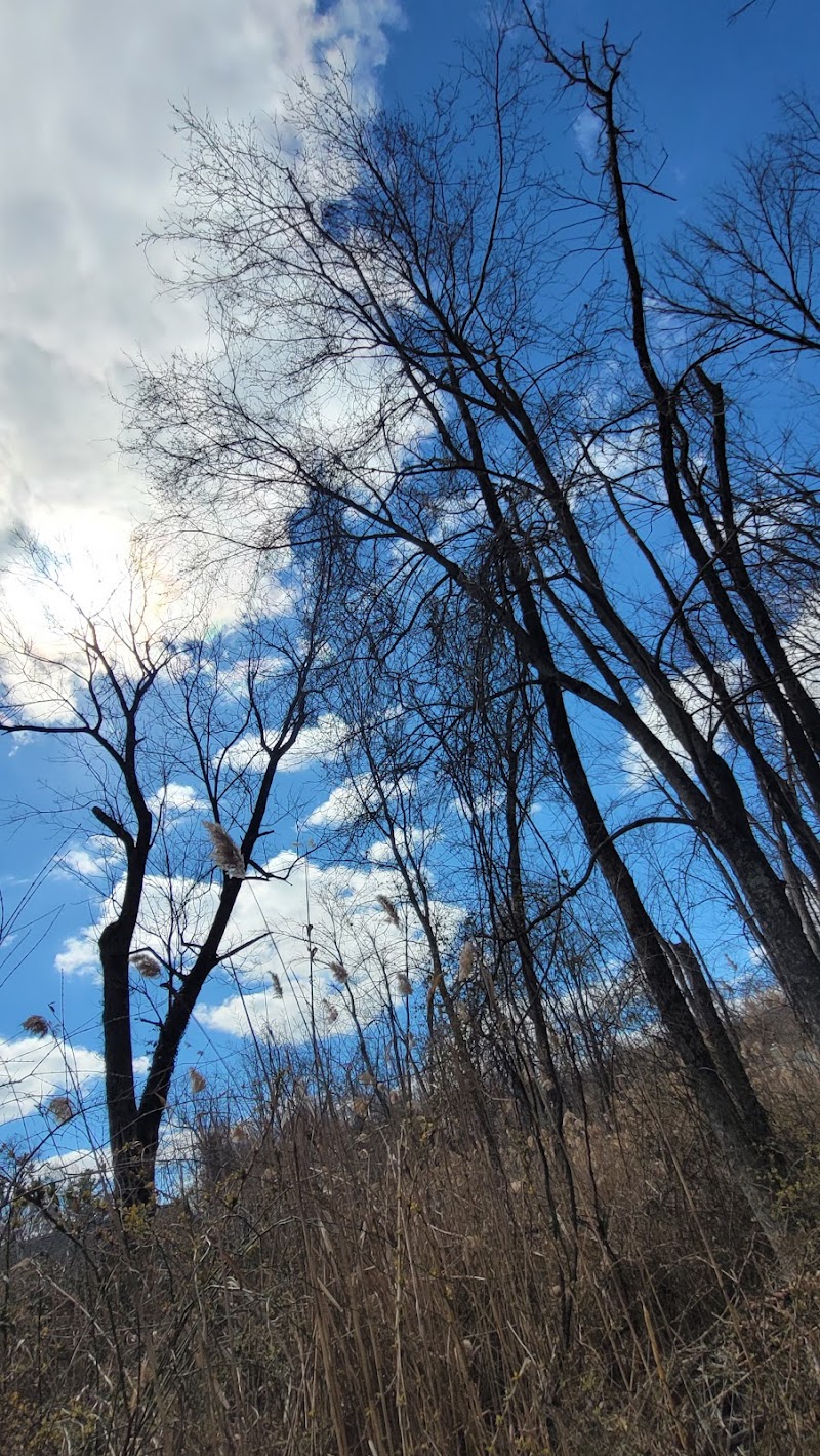 Nyack Beach State Park - Nyack, NY