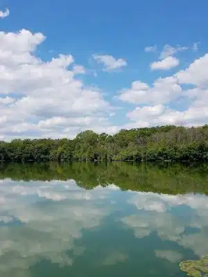 Mayslake