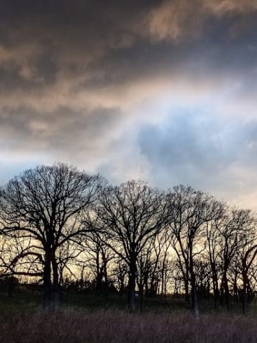 Mayslake
