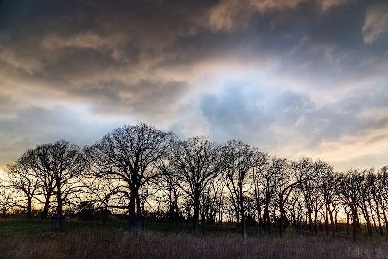 Mayslake - Oak Brook, IL