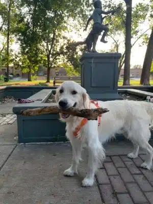 Bailey's Crossing Dog Park