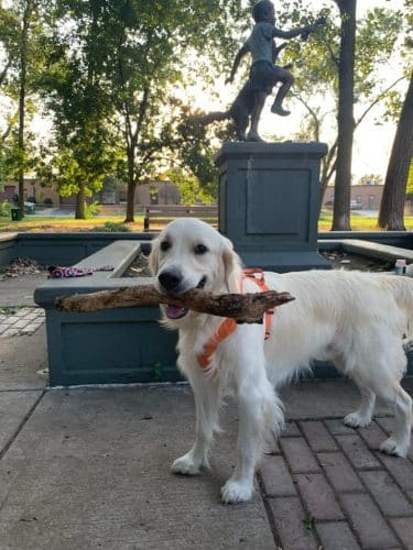 Bailey's Crossing Dog Park