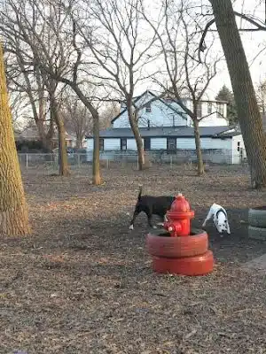 Bailey's Crossing Dog Park