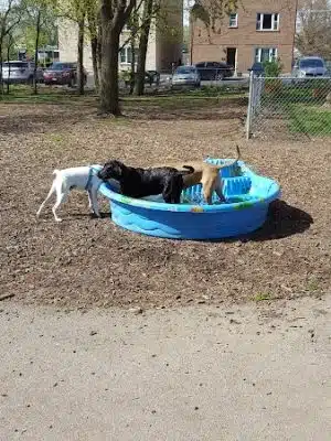 Bailey's Crossing Dog Park