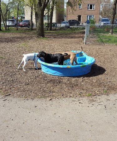 Bailey's Crossing Dog Park