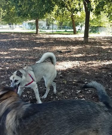 Bailey's Crossing Dog Park
