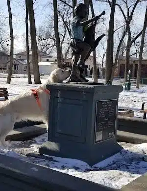 Bailey's Crossing Dog Park