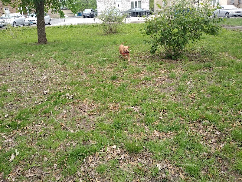 Bailey's Crossing Dog Park - Oak Lawn, IL