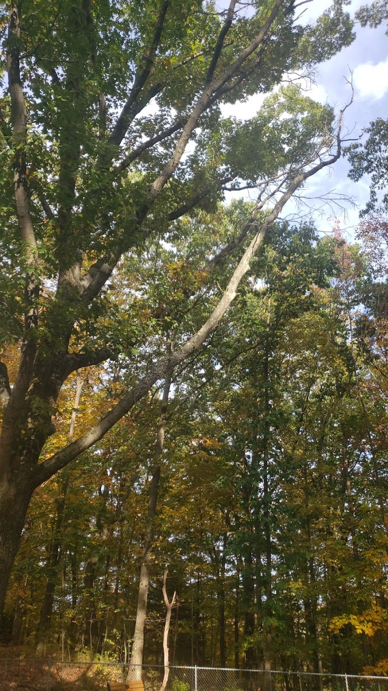 Jefferson Dogpark - Oak Ridge, NJ