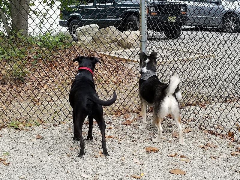 Jefferson Dogpark - Oak Ridge, NJ