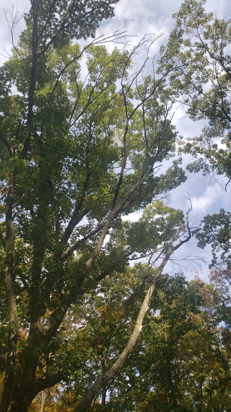 Jefferson Dogpark - Oak Ridge, NJ