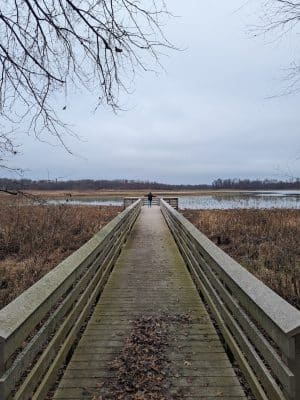 Patoka River National Wildlife Refuge Snakey Point