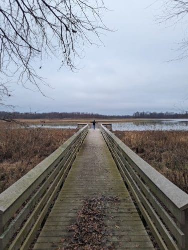 Patoka River National Wildlife Refuge Snakey Point