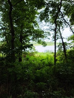 Patoka River National Wildlife Refuge Snakey Point