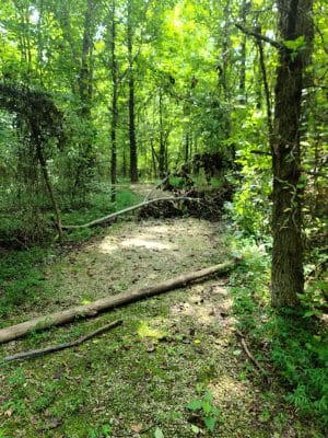 Patoka River National Wildlife Refuge Snakey Point