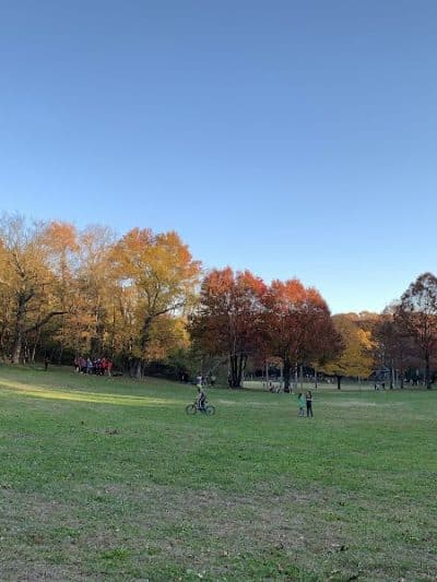 Alley Pond Park - Oakland Gardens, NY