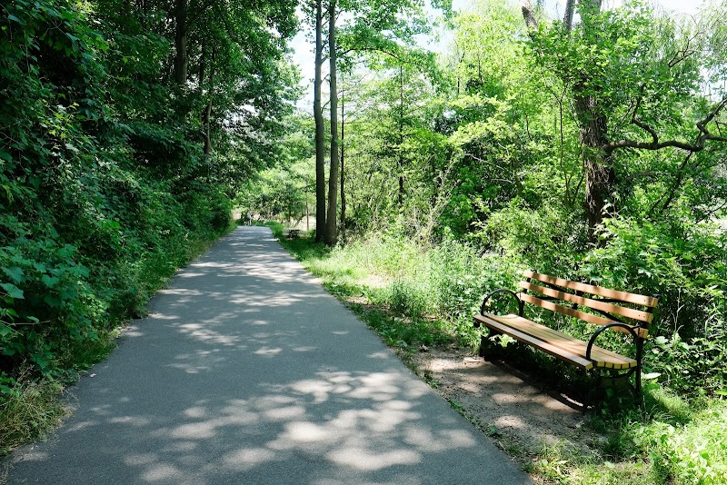 Alley Pond Park - Oakland Gardens, NY