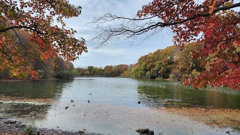 Alley Pond Park - Oakland Gardens, NY