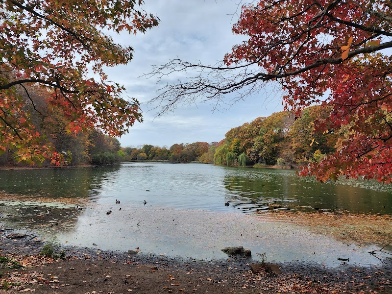 Alley Pond Park - Oakland Gardens, NY