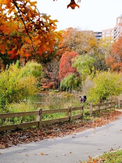 Alley Pond Park - Oakland Gardens, NY
