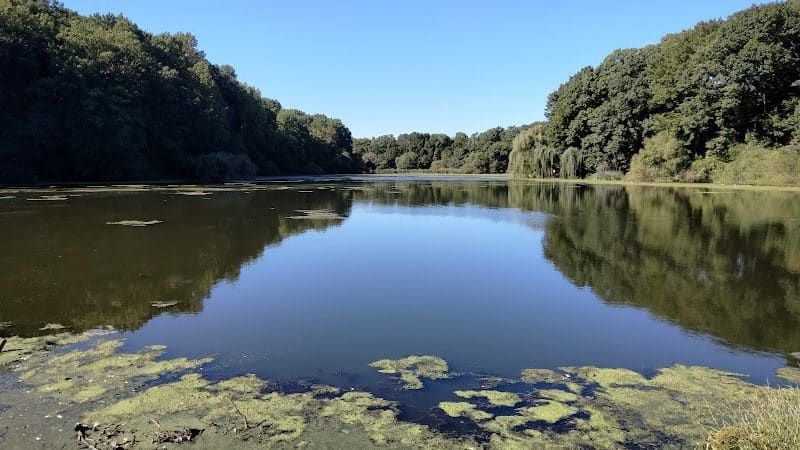 Alley Pond Park - Oakland Gardens, NY