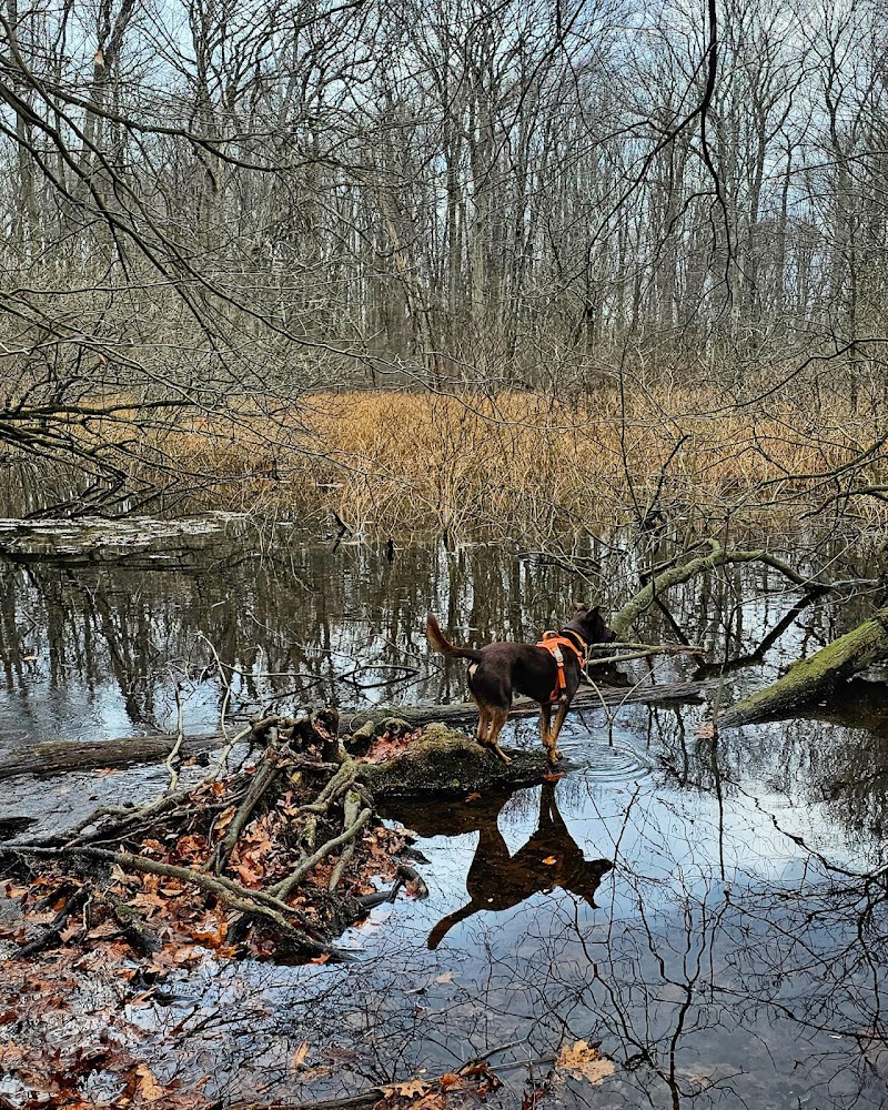 Alley Pond Park - Oakland Gardens, NY