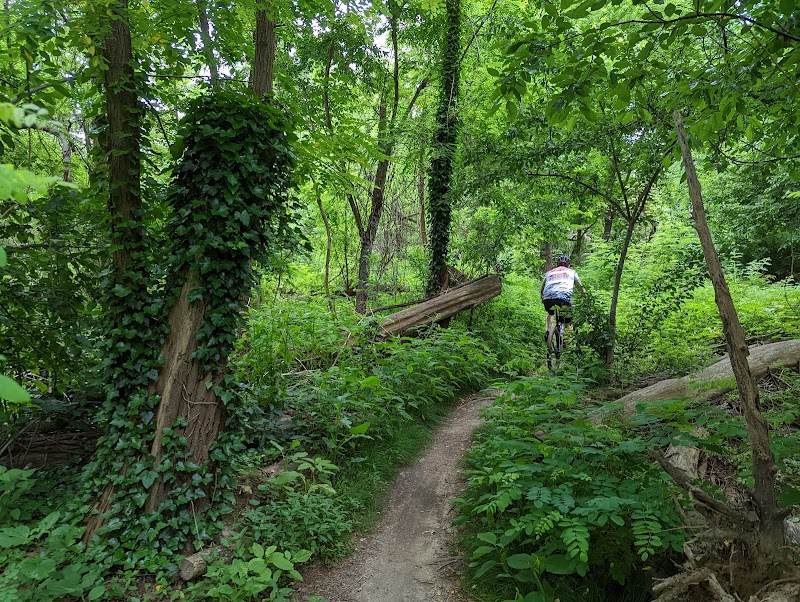 Cunningham Park Mountain Bike Trailhead - Oakland Gardens, NY