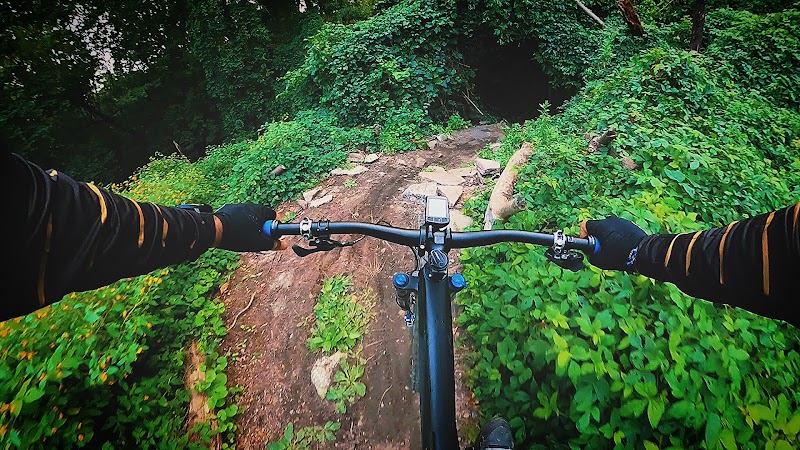 Cunningham Park Mountain Bike Trailhead - Oakland Gardens, NY