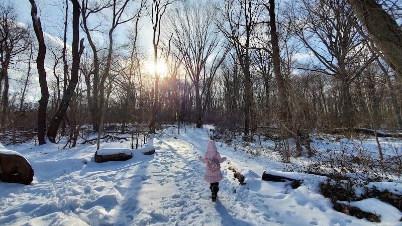 Cunningham Park Mountain Bike Trailhead - Oakland Gardens, NY