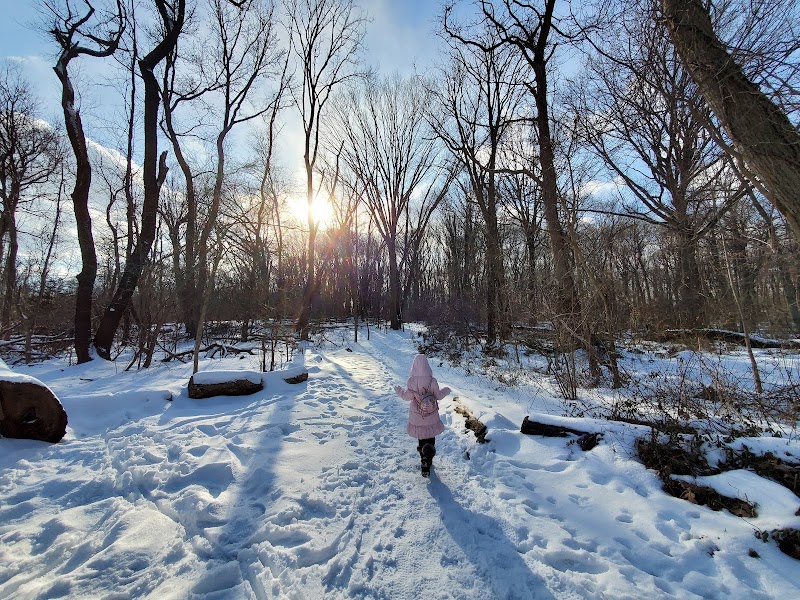 Cunningham Park Mountain Bike Trailhead - Oakland Gardens, NY