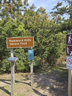 Hammock Hills Nature Trail - Ocracoke, NC