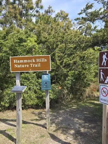 Hammock Hills Nature Trail - Ocracoke, NC