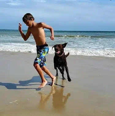 Sandy Paws Bed & Biscuit Inn - Ocracoke, NC
