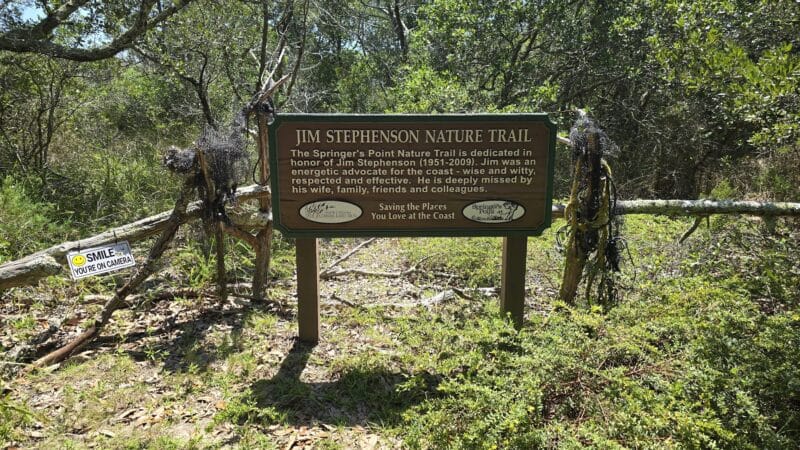 Springer's Point Preserve - Ocracoke, NC