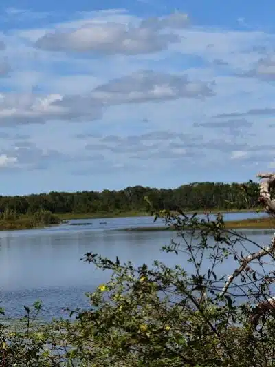 Lake Rogers Park - Odessa, FL