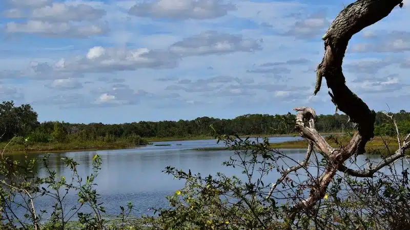 Lake Rogers Park - Odessa, FL