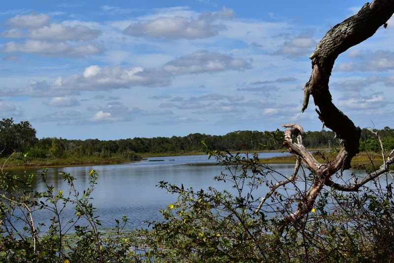 Lake Rogers Park - Odessa, FL