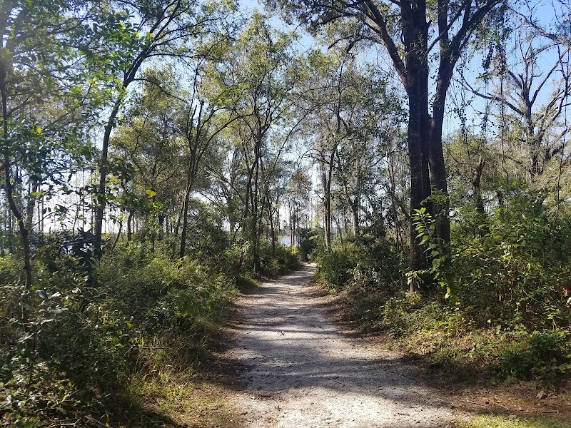 Lake Rogers Park - Odessa, FL