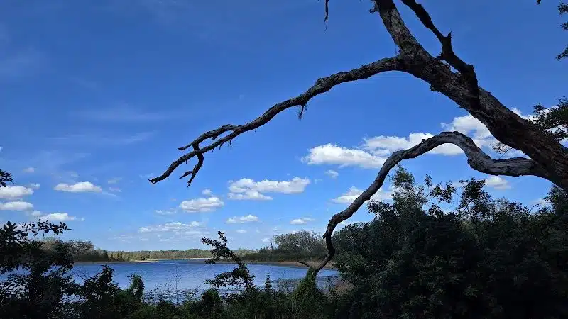 Lake Rogers Park - Odessa, FL