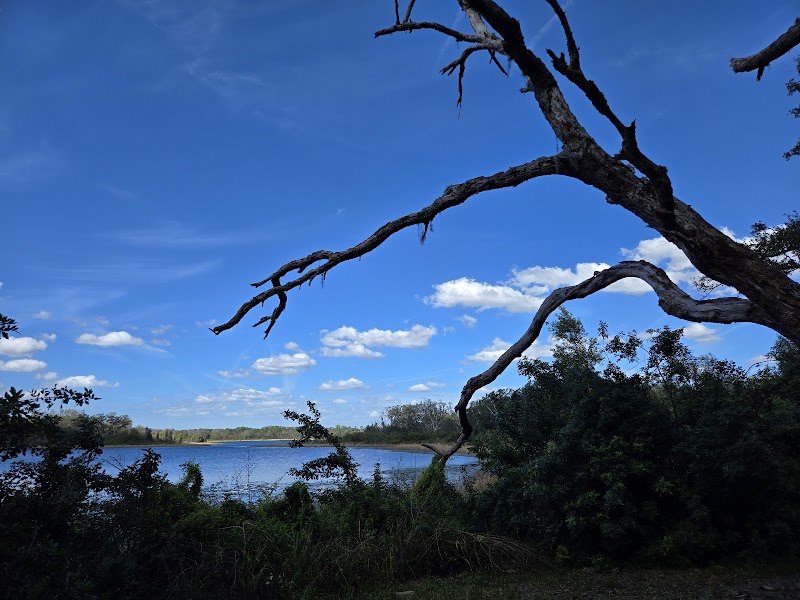 Lake Rogers Park - Odessa, FL