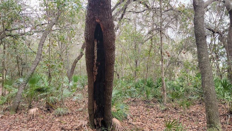 Lake Rogers Park - Odessa, FL